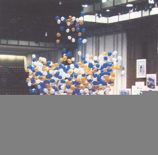 250 adet balon ya�muru hizmeti 