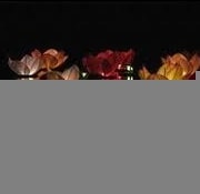 Ankara  y�zen dilek fener 20 Adet kar���k renklerde y�zen dilek feneri
